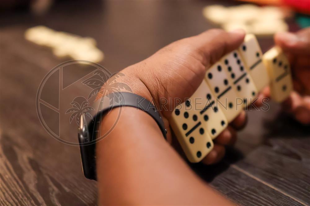 Jeux de dominos dans une main 